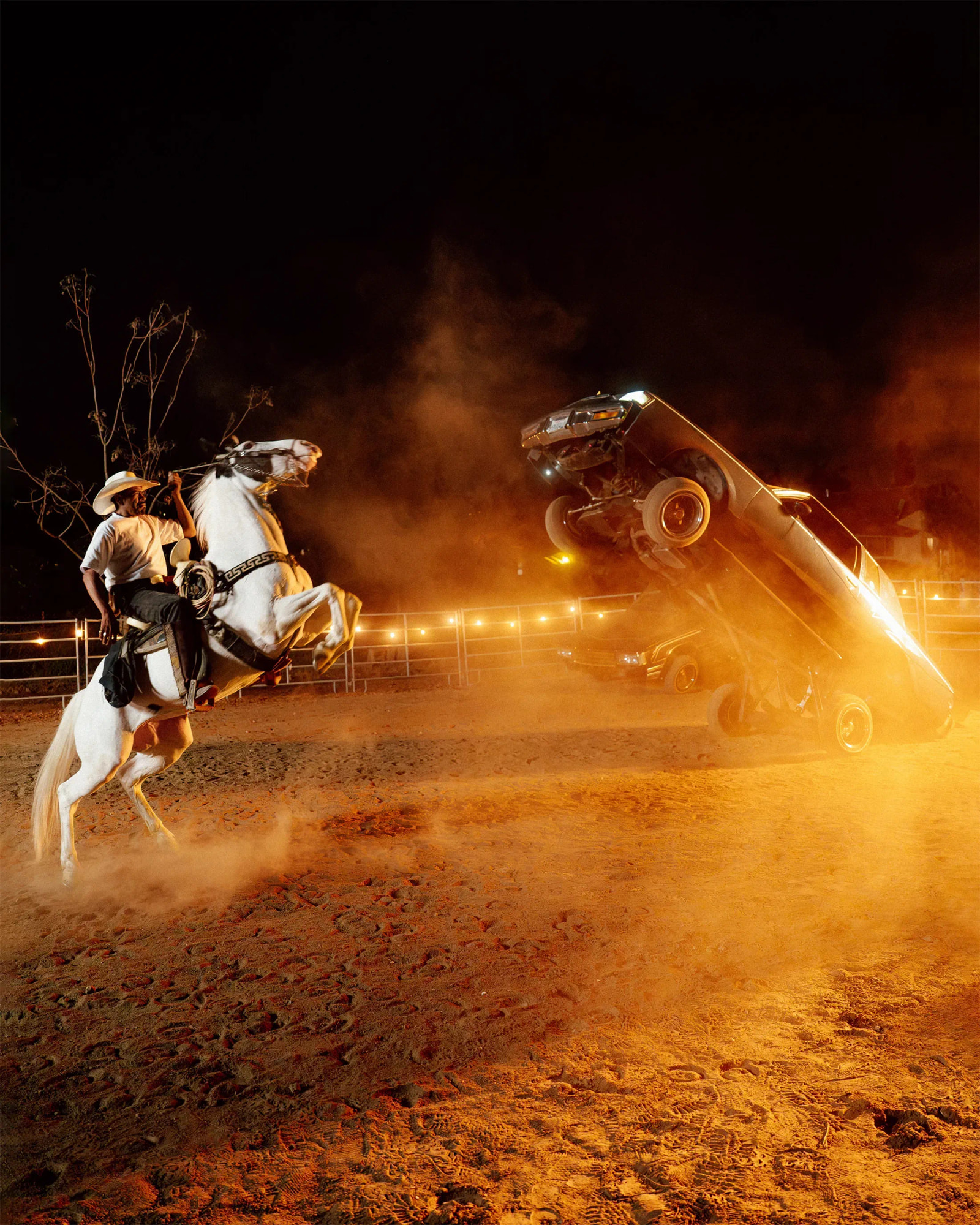 Horse & Car
