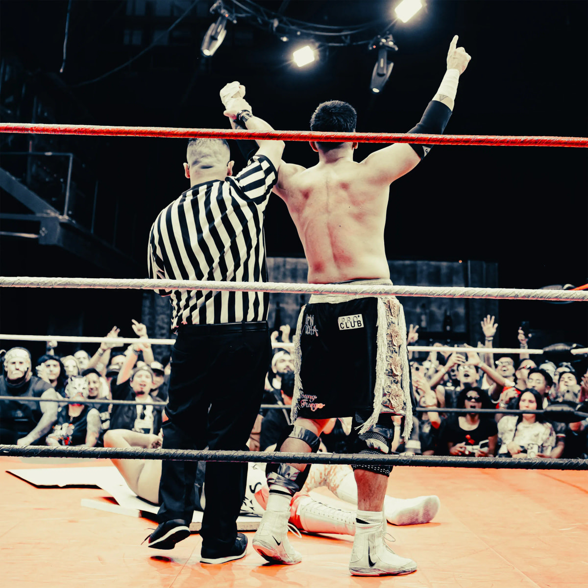 MFN LUCHA
