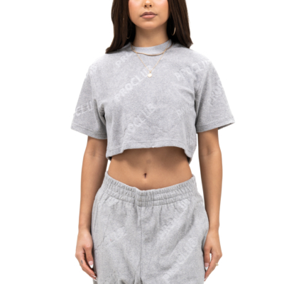 CROPPED TERRY CLOTH TEE-Heather Gray- X-Small