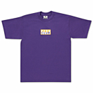 Heavyweight Short Sleeve Embroidered Box Logo Tee, Purple